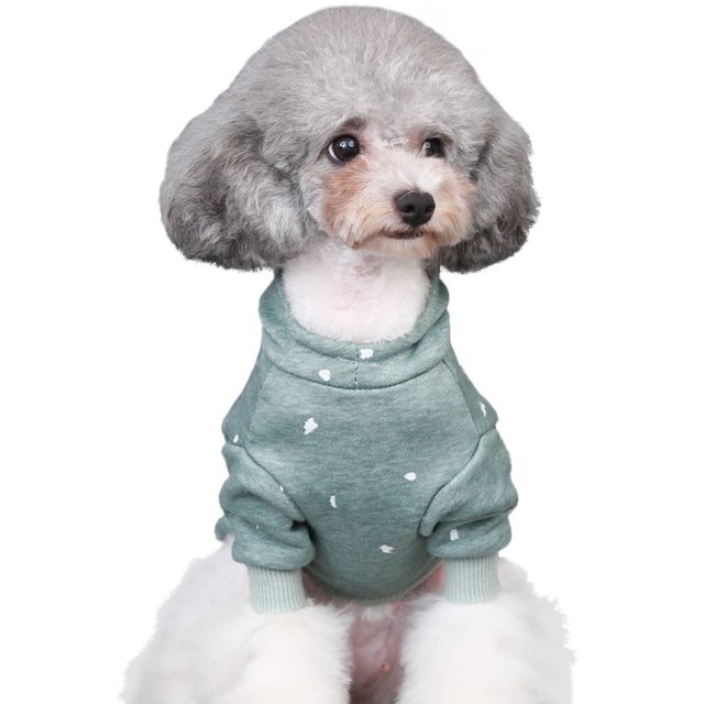 Warm Hoodies for Small Pet