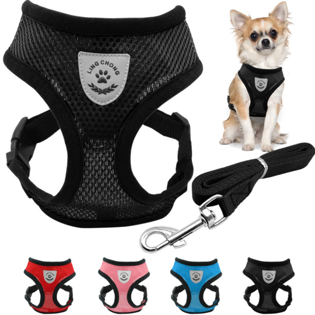 Breathable Small Dog & Puppy Harness & Leash