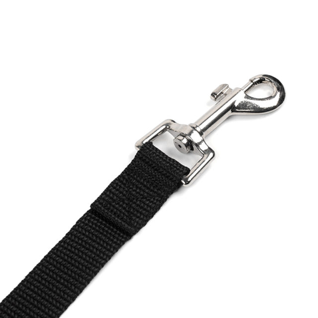 Casual Nylon Leashes For Dogs