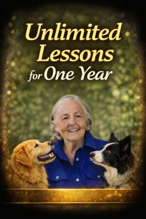 18d83cb6 f2e0 41d0 a691 c62a84941591 md