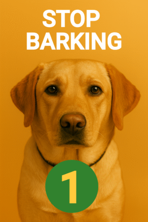Stop Barking Lesson 1