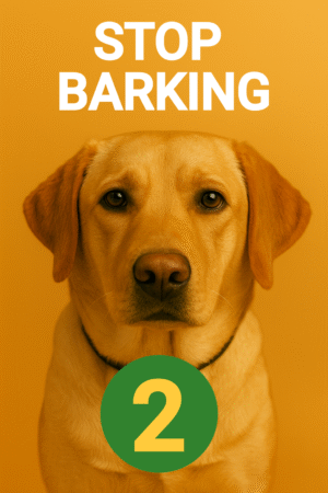 Stop Barking Lesson 2