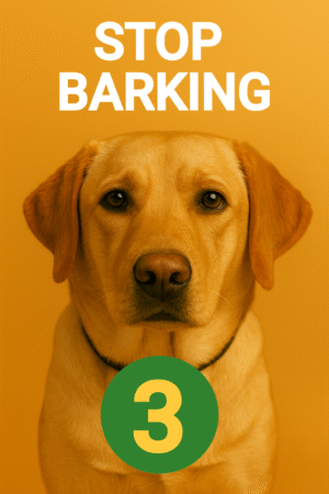 Stop Barking Lesson 3
