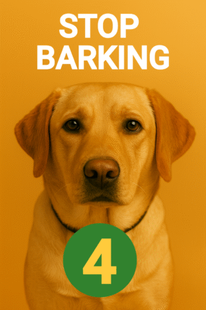 Stop Barking Lesson 4