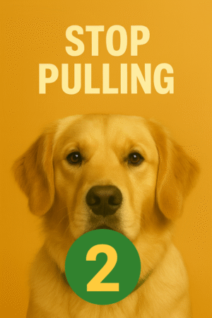 Stop Pulling Lesson 2 of 3