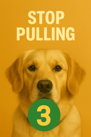 Stop Pulling Lesson 3 of 3