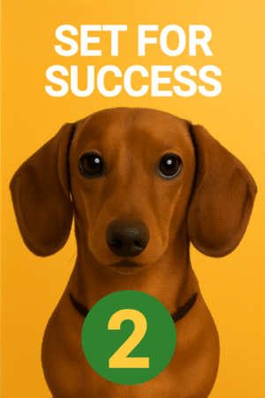 Set for Success - Part 2