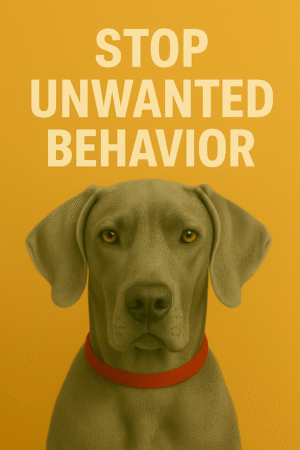 Stop Unwanted Behavior