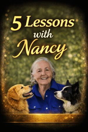 882384fc 1aea 4d91 a767 e34b6bf62072