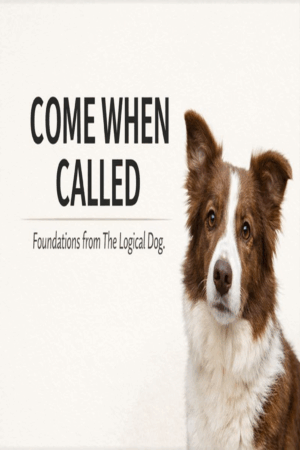 come when called 1034x1536